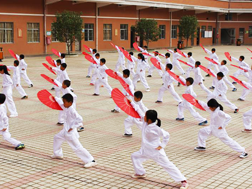 东华学校武术操、功夫...